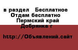  в раздел : Бесплатное » Отдам бесплатно . Пермский край,Добрянка г.